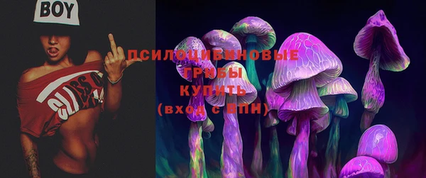бутират Алзамай
