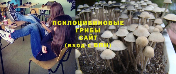 бутират Алзамай