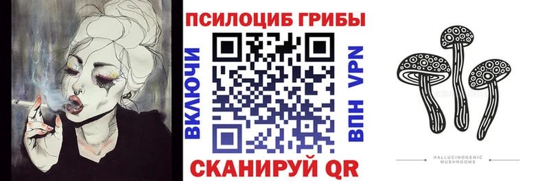 ссылка на мегу вход  Киселёвск  Псилоцибиновые грибы мухоморы 